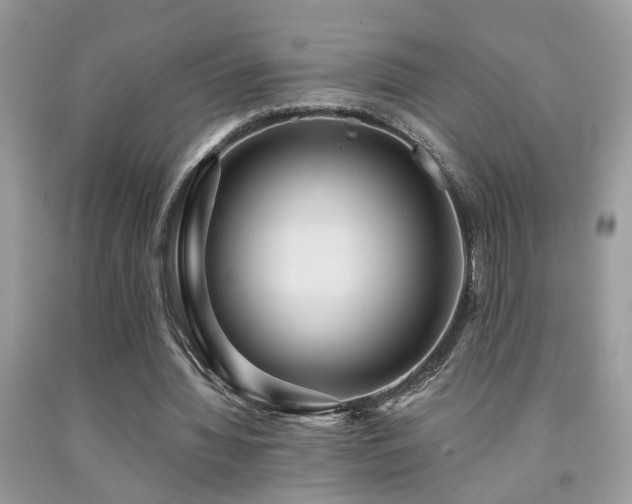 X0000092030436200709061618