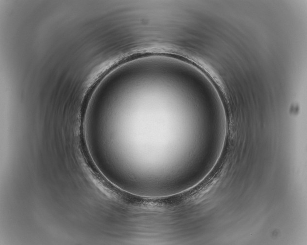 X0000092030437200709061618
