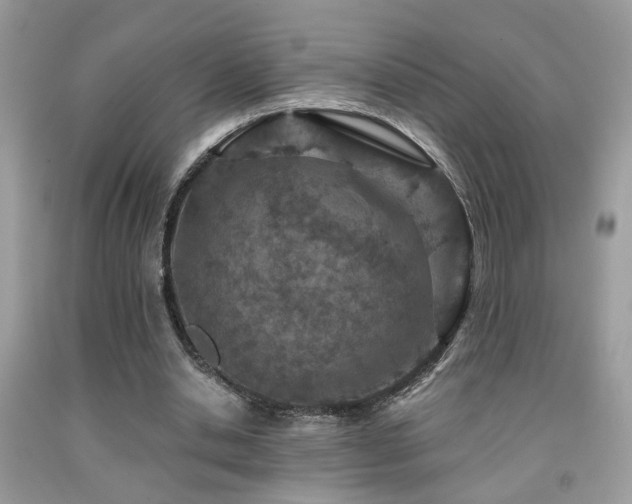X0000092030438200709061618