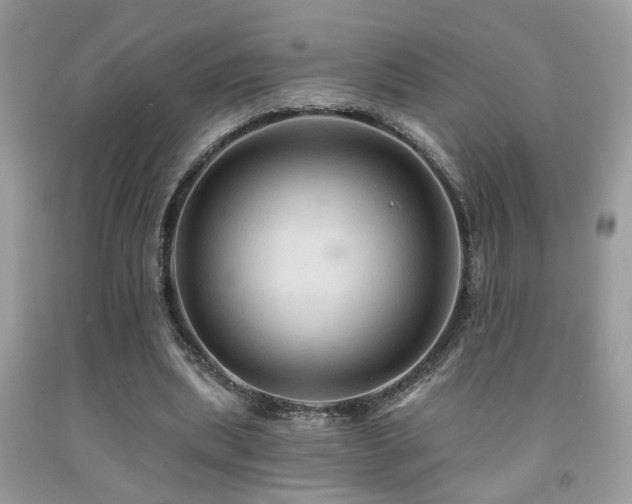 X0000092030439200709061618