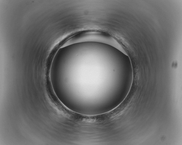 X0000092030440200709061618