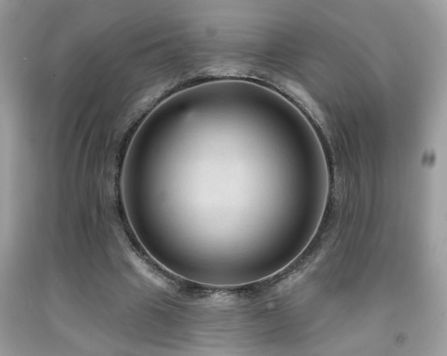 X0000092030441200709061618