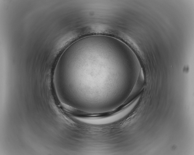X0000092030442200709061618
