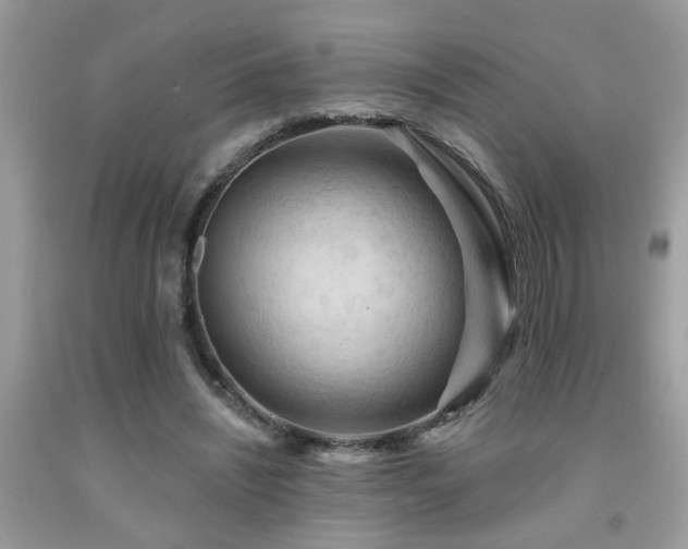 X0000092030444200709061618