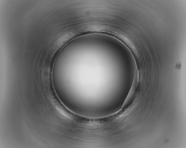 X0000092030445200709061618