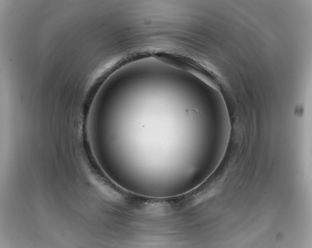 X0000092030446200709061618