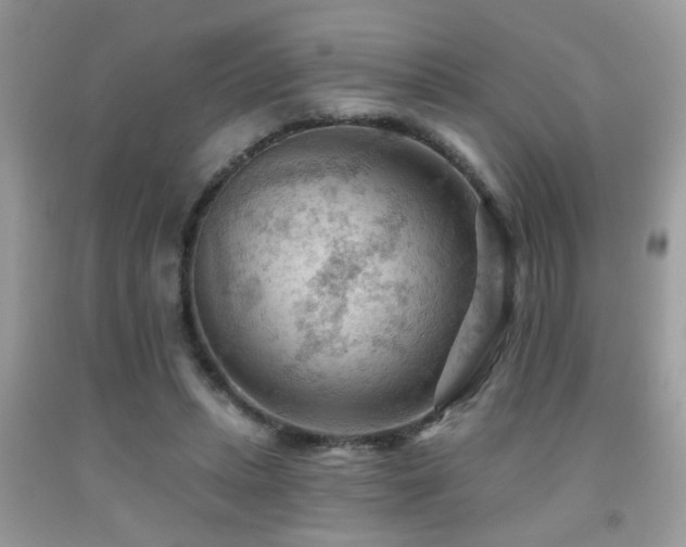 X0000092030447200709061618