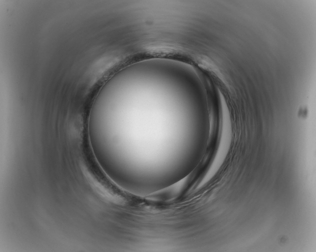 X0000092030448200709061618