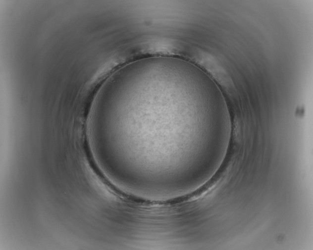 X0000092030449200709061618