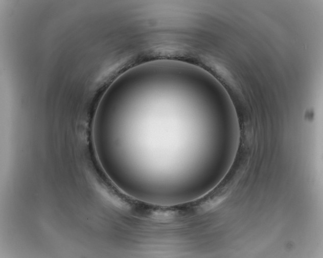 X0000092030450200709061618