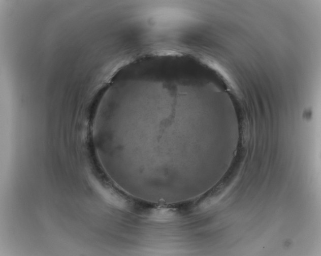 X0000092030451200709061618