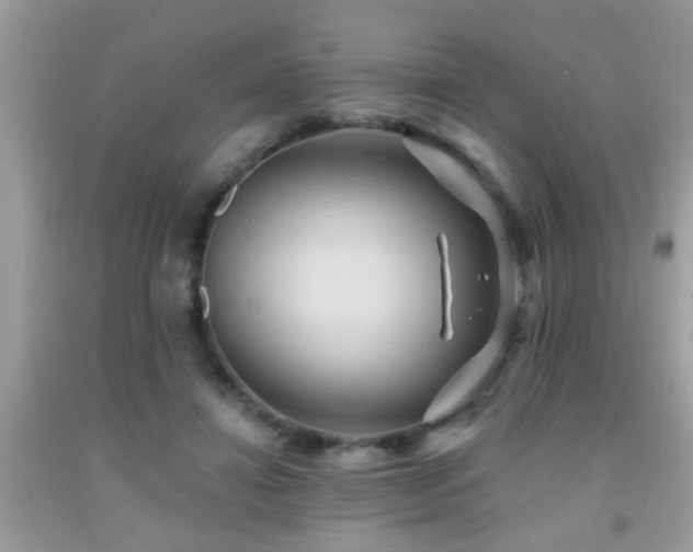 X0000092030452200709061618