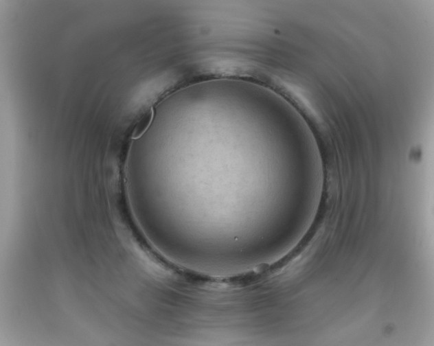 X0000092030453200709061618