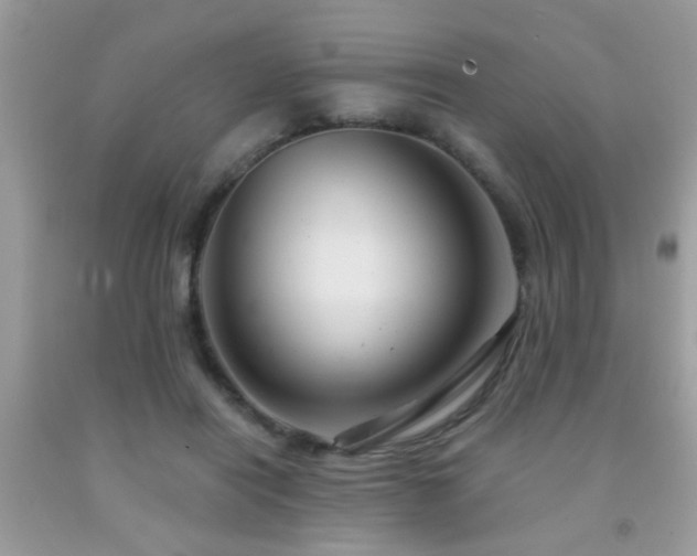 X0000092030454200709061618