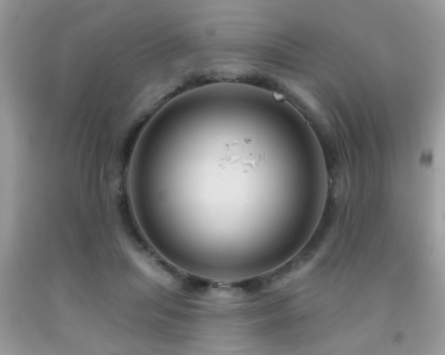 X0000092030455200709061618