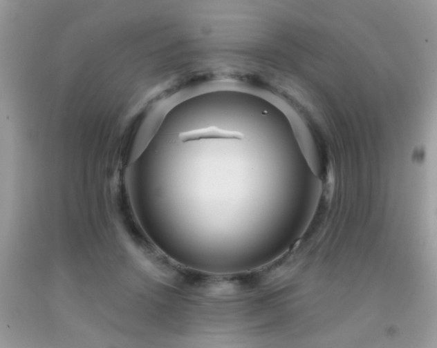 X0000092030456200709061618