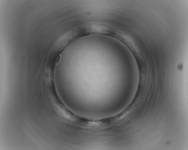 X0000092030457200709061618