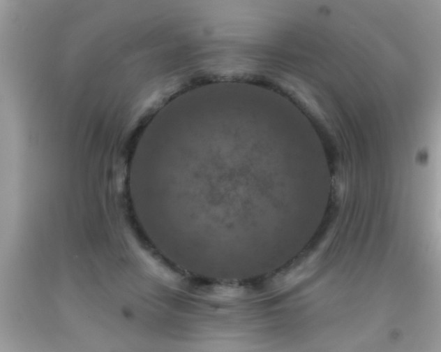 X0000092030458200709061618