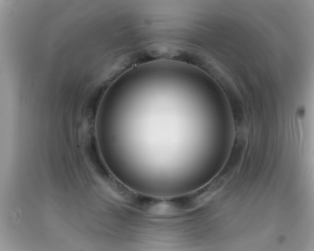 X0000092030460200709061618