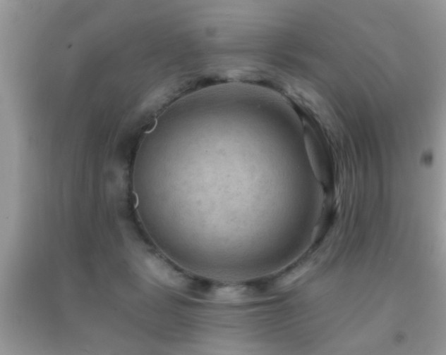 X0000092030461200709061618