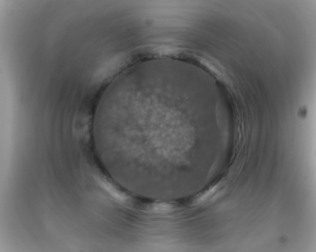 X0000092030462200709061618