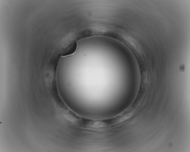 X0000092030463200709061618