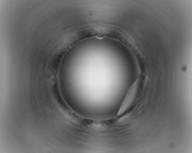 X0000092030464200709061618