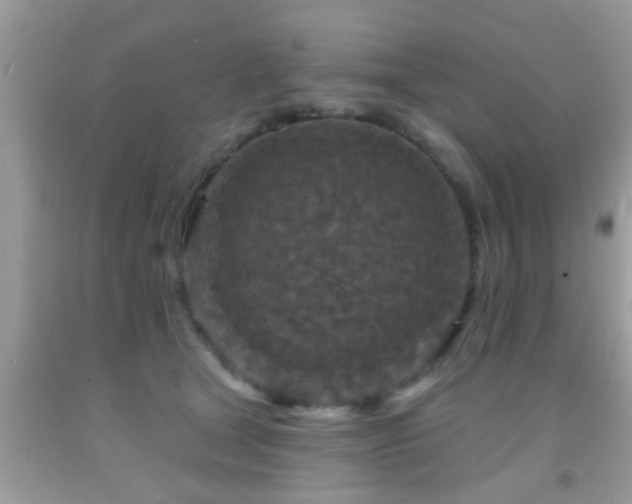 X0000092030465200709061618
