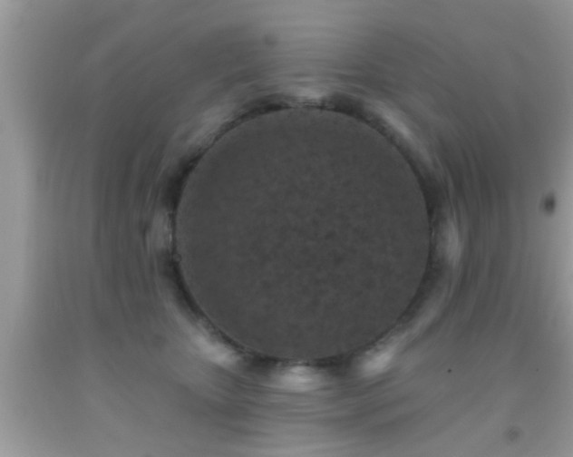 X0000092030467200709061618