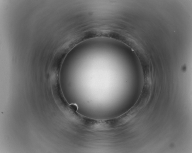 X0000092030468200709061618