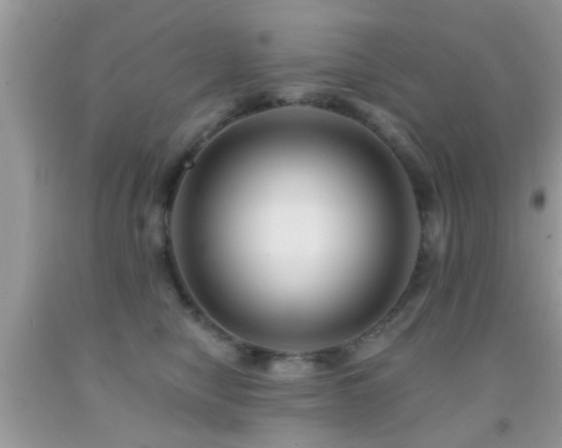X0000092030470200709061618