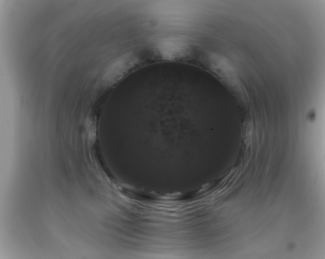 X0000092030471200709061618