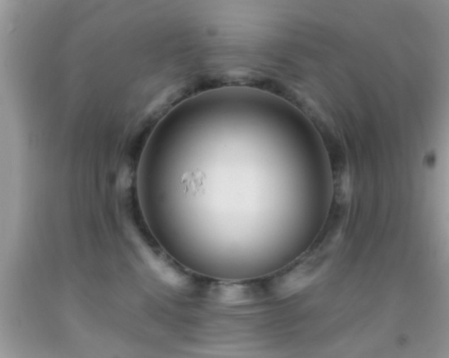 X0000092030472200709061618