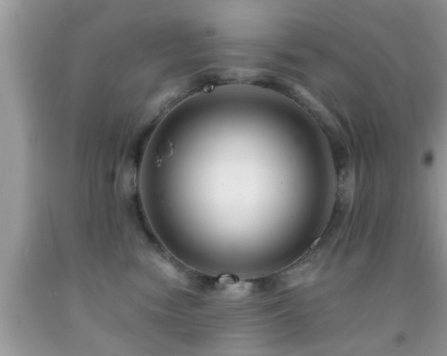 X0000092030474200709061618