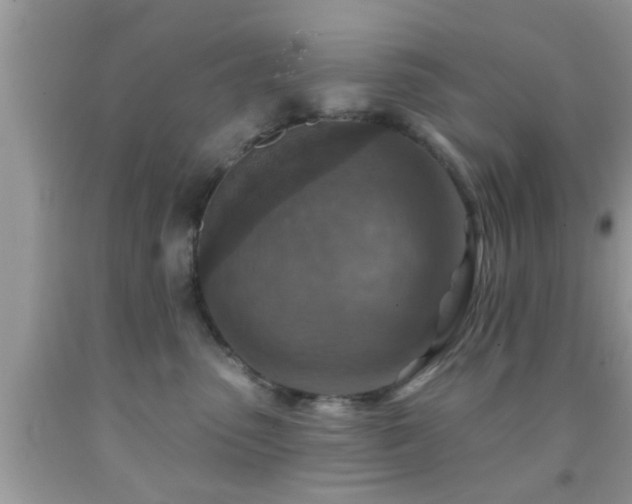 X0000092030475200709061618