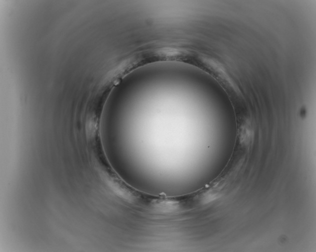 X0000092030476200709061618
