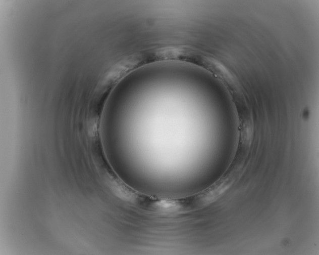 X0000092030477200709061618