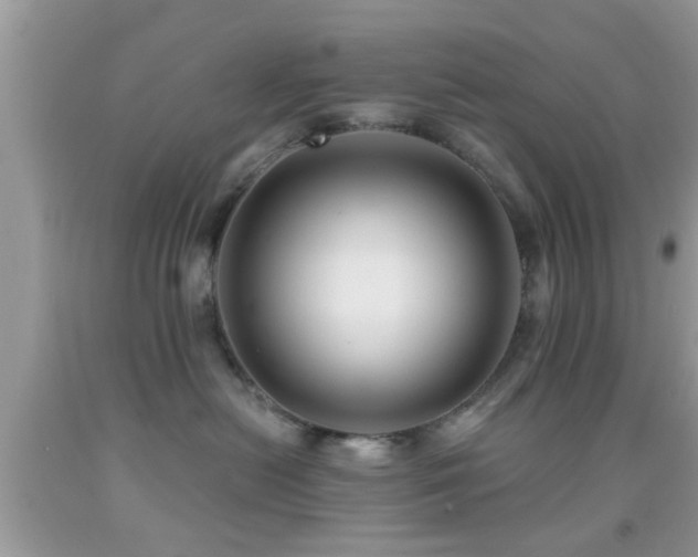 X0000092030478200709061618