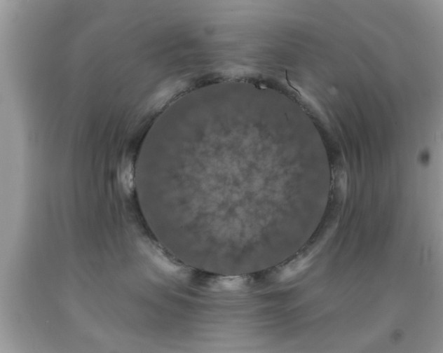 X0000092030479200709061618