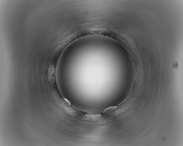 X0000092030480200709061618