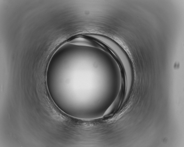 X0000092030481200709061618