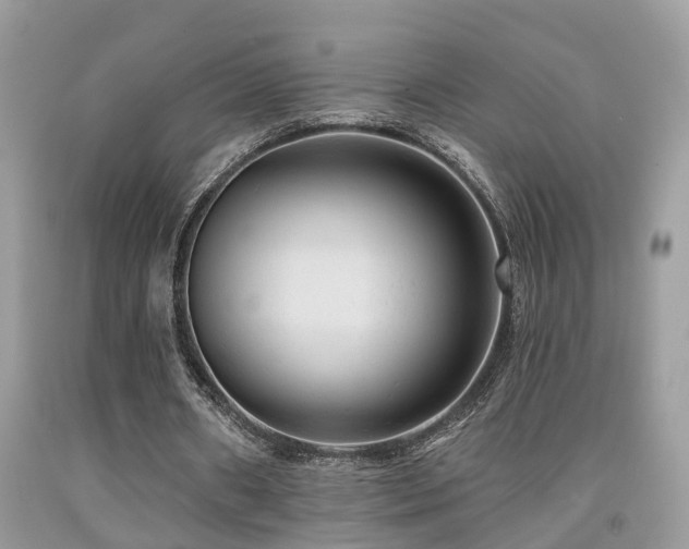 X0000092030482200709061618