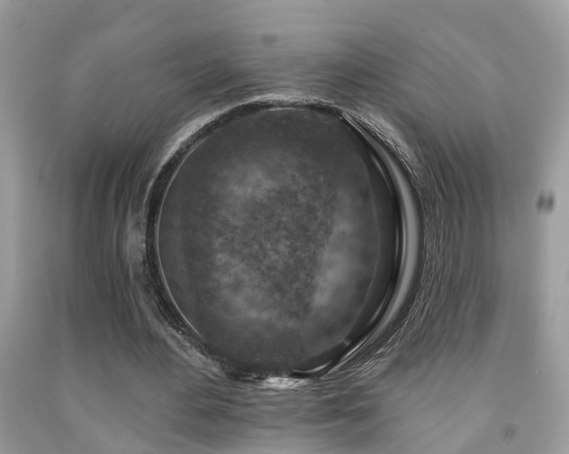 X0000092030484200709061618