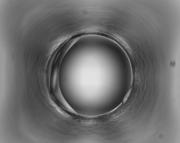 X0000092030485200709061618