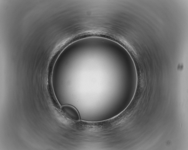 X0000092030486200709061618