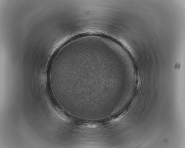 X0000092030488200709061618