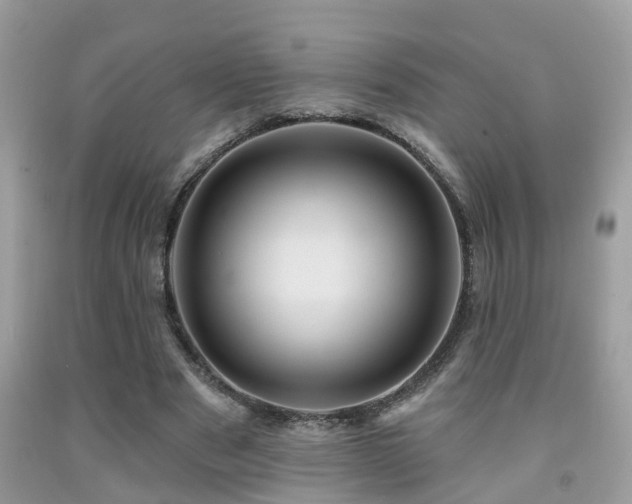 X0000092030489200709061618