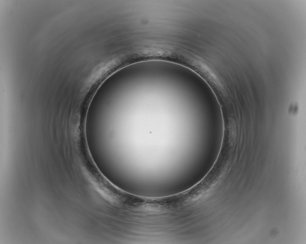 X0000092030490200709061617