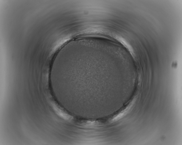 X0000092030493200709061617