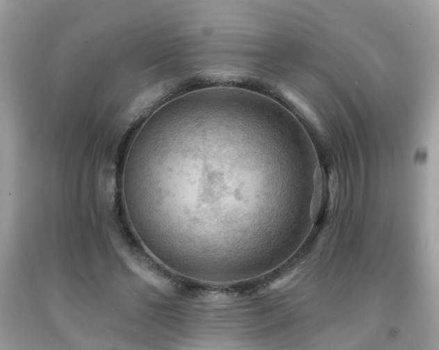 X0000092030494200709061617